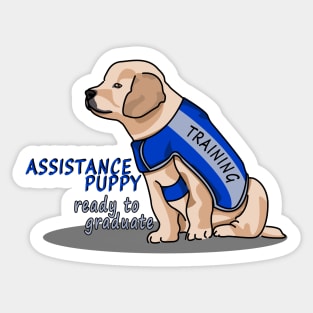 Assistance Puppy Ready to Graduate: Golden Retriever Cutie Sticker